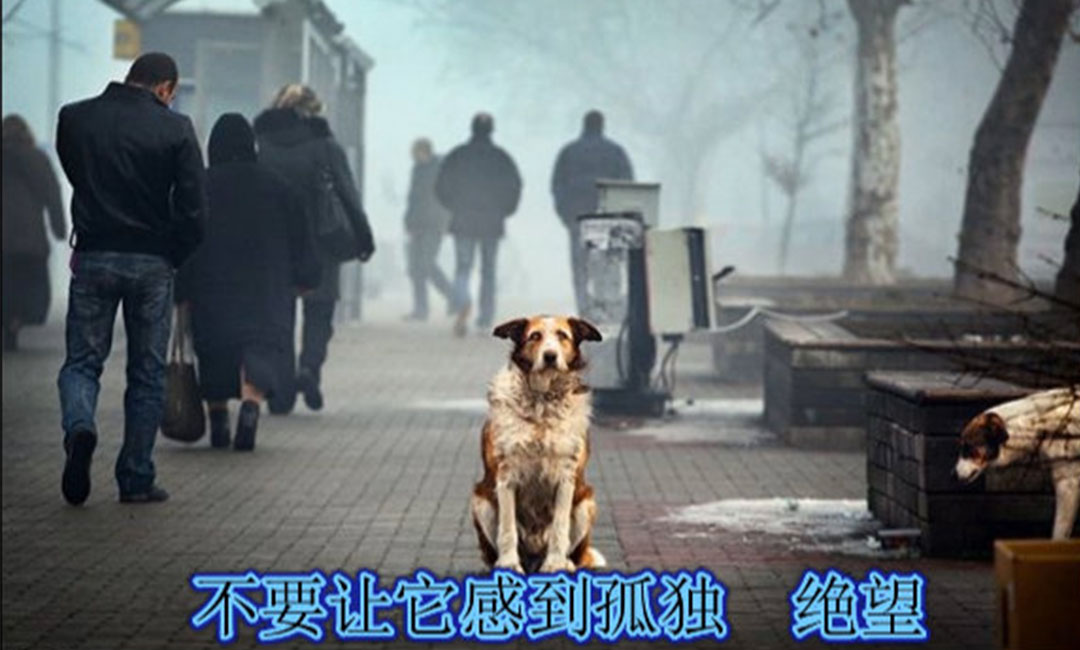 璧山璧山爱影圈微博微信转发案例